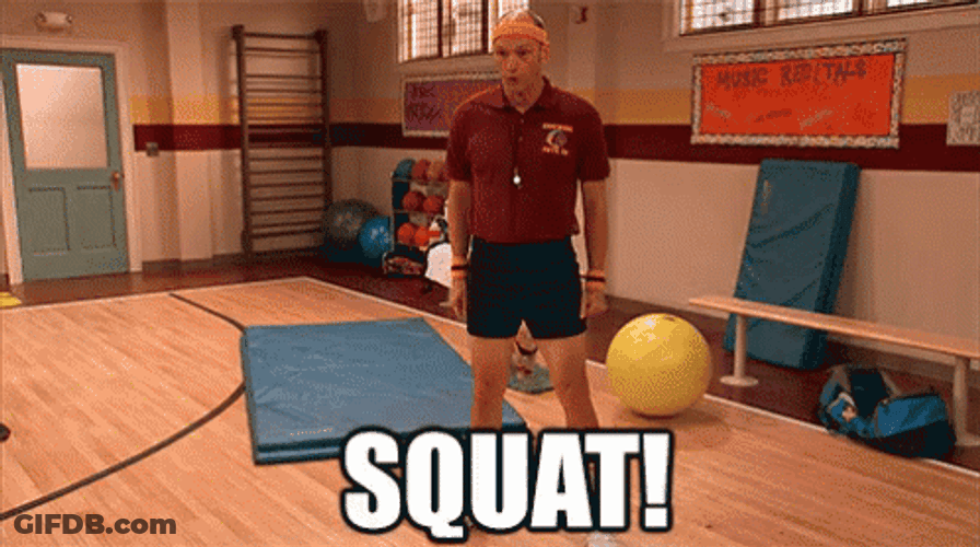 Gym Squat Fitness Exercise GIF