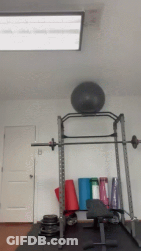 Gym With Barbell And Pilates Ball GIF