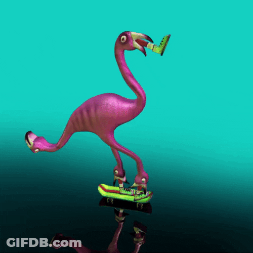 Gymnast Flamingo Skateboard Animation GIF