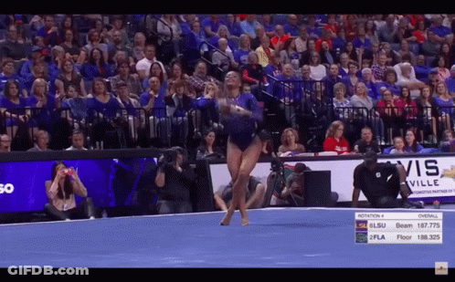 Gymnast Performing On Floor With Visville Sign GIF