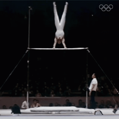 Gymnastics Bar Swinging Ono Takashi GIF