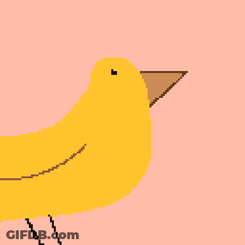 Ha Chick Laugh Bird GIF