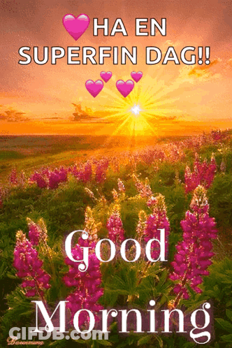Ha En Superfin Dag Field Of Flowers GIF