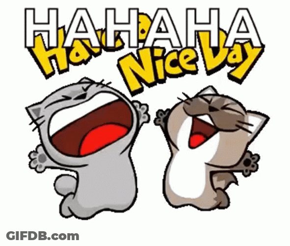 Ha Ha Cute Cat Punch GIF