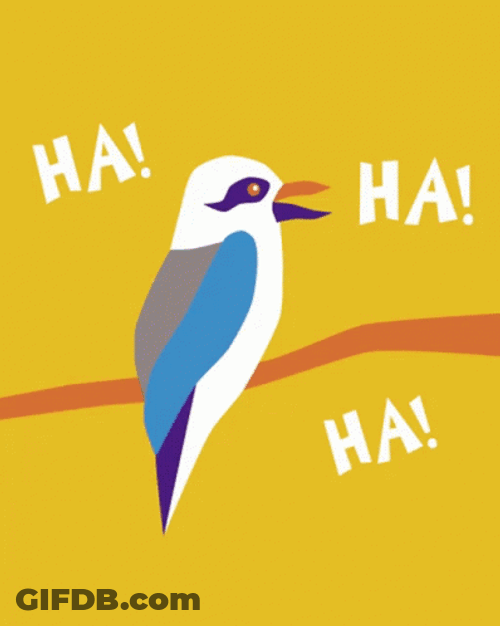 Ha Kookaburra Bird Laugh GIF