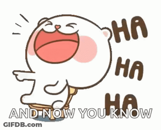 Ha Puffy Bear And Now You Know GIF
