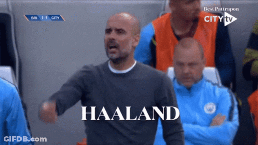 Haaland GIF
