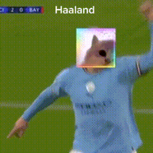 Haaland Jamcat GIF
