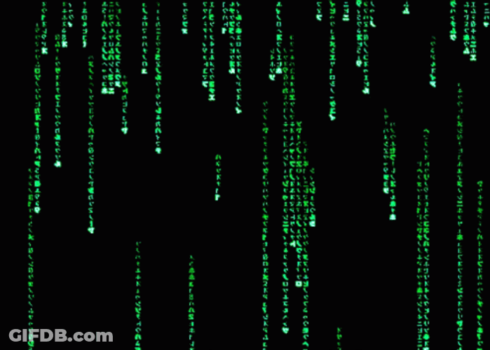Hacker Im In Matrix Computer Program GIF