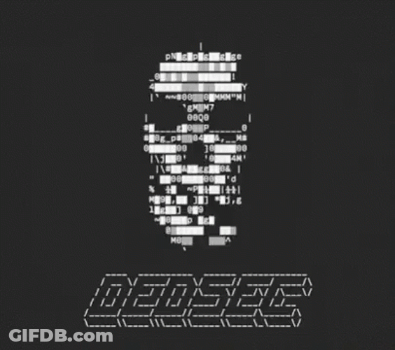 Hacker Screen Dedsec Skull Wallpaper GIF