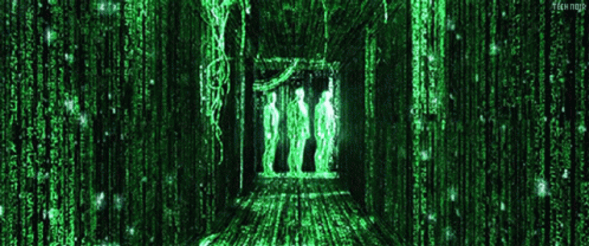 Hackers Matrix Coding GIF