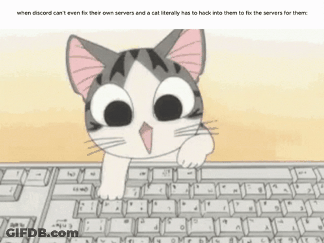 Hacking Screen Chi's Sweet Home GIF