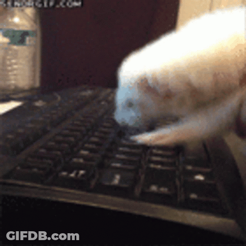 Hacking Screen Ferrt Hacking GIF
