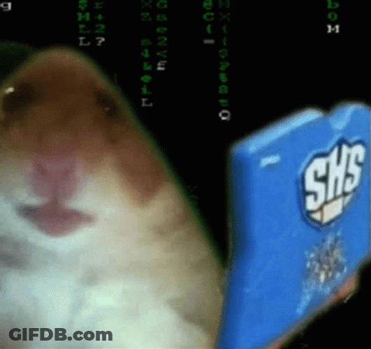 Hacking Screen Hamster SHS GIF
