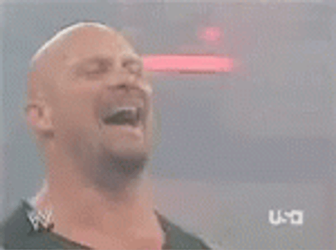 Haha No Steve Austin GIF