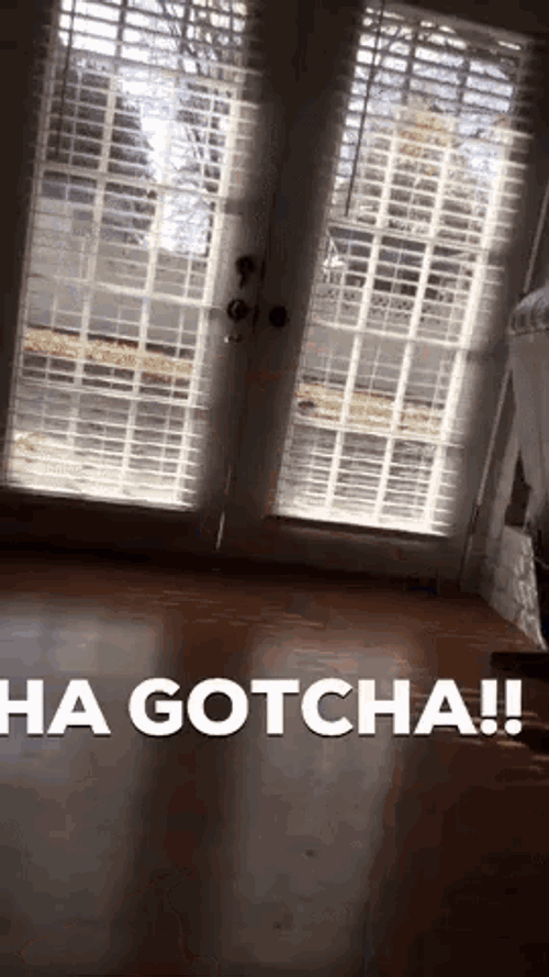 Hahaha Gotcha GIF