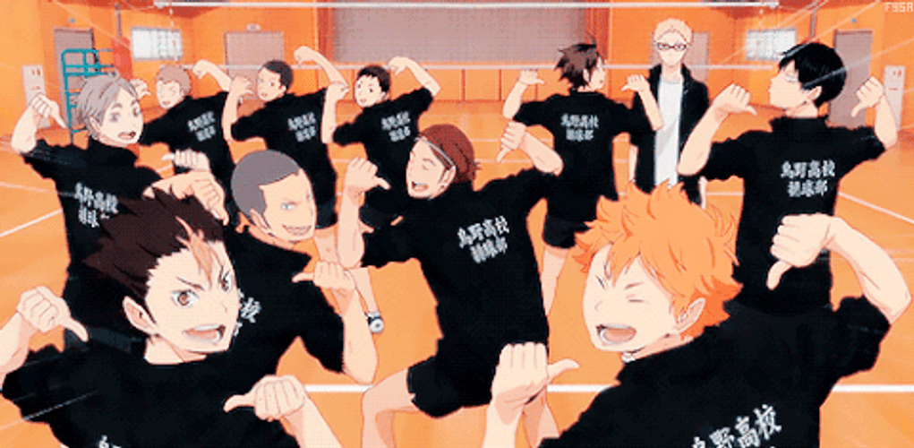 Haikyuu Karasuno High Team GIF