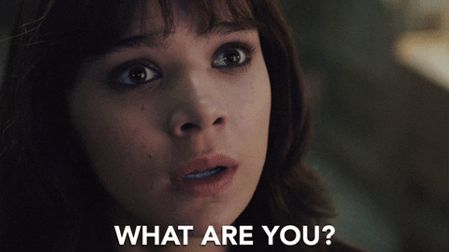 Hailee Steinfeld What Are You GIF