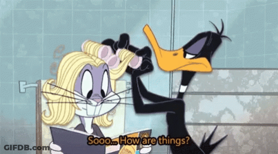 Hair Dresser Daffy Duck GIF