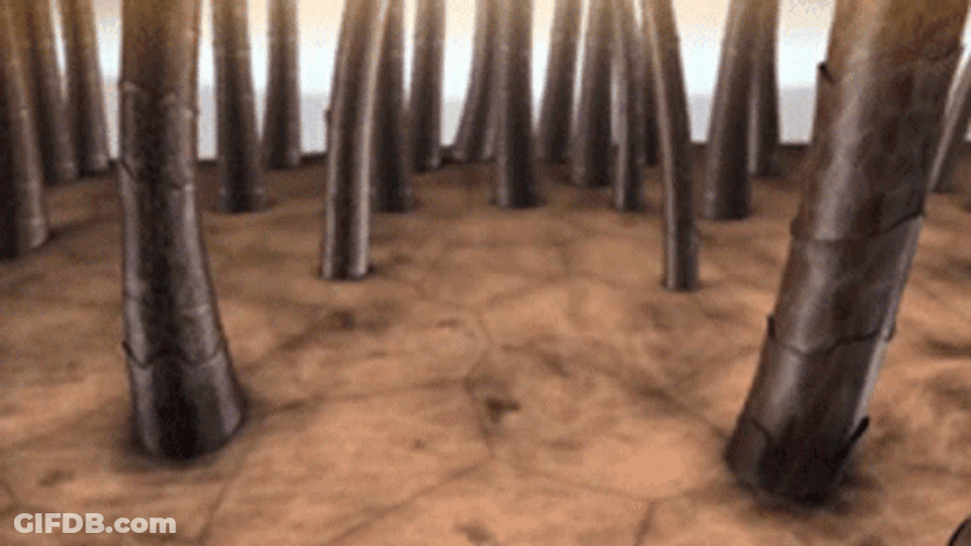 Hair Growth Animation GIF