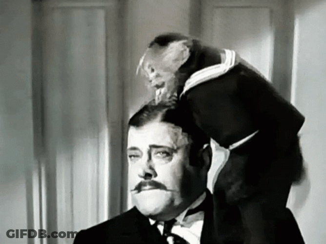 Hair Pull Toupee Bald GIF