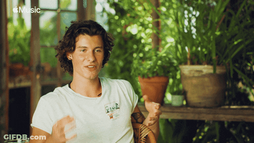 Hair Tuck Shawn Mendes GIF