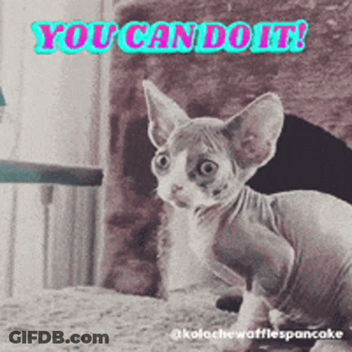 Hairless Cat Saying You Can Do It GIF