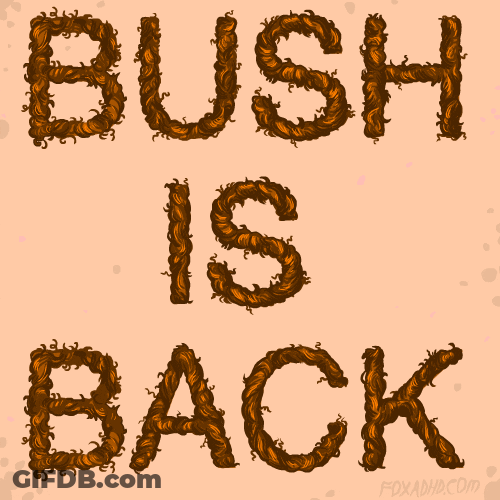 Hairy Bush Is Back GIF