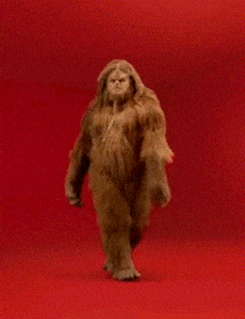 Hairy Girl Sexy Funny GIF