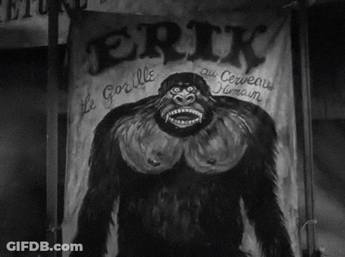 Hairy Gorilla Poster GIF
