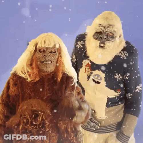 Hairy Sasquatch Family Snow GIF