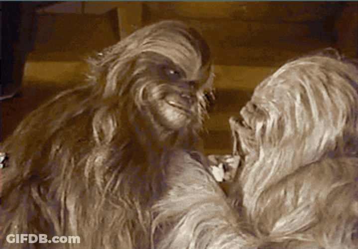 Hairy Sweet Chewbacca GIF