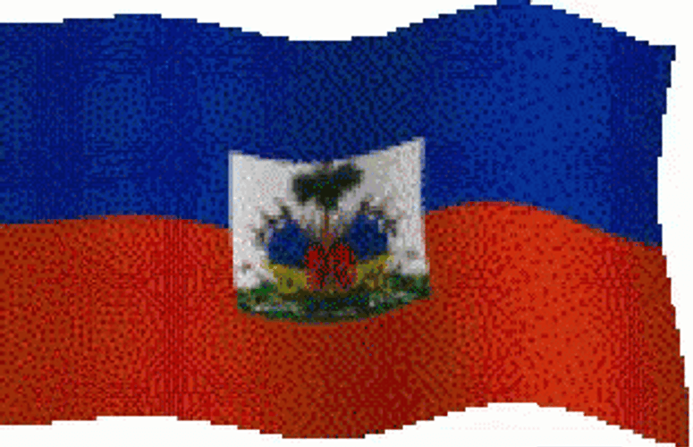 Haiti Flag 3D Pixel Cartoon GIF
