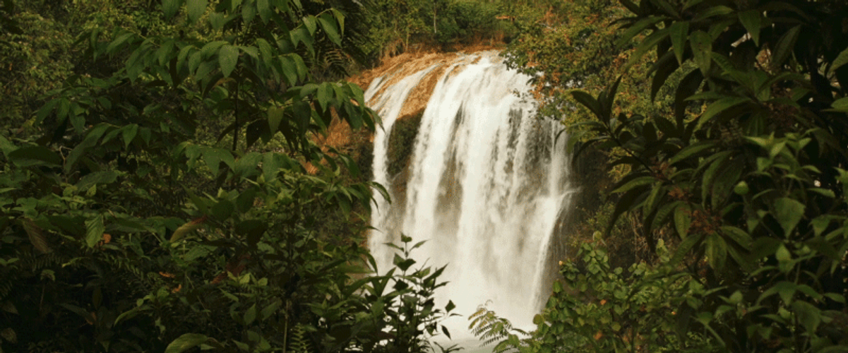 Haiti Waterfall Saut-Mathurine GIF