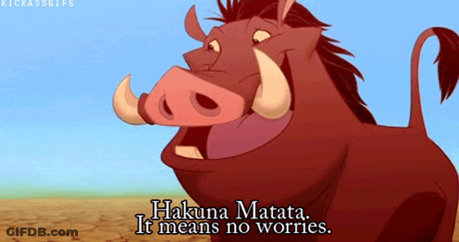 Hakuna Matata Jolly Pumbaa Lion King GIF