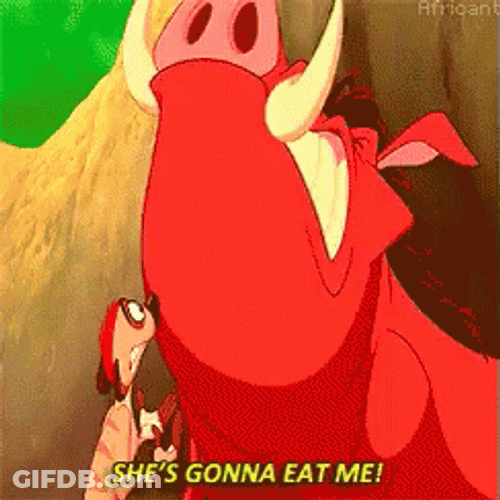 Hakuna Matata Pumbaa Panicking Lion King GIF