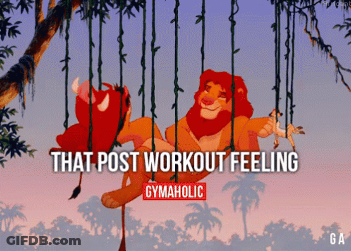 Hakuna Matata Simba Post Work Out Meme GIF