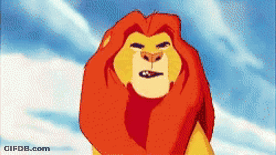 Hakuna Matata Startled Simba GIF