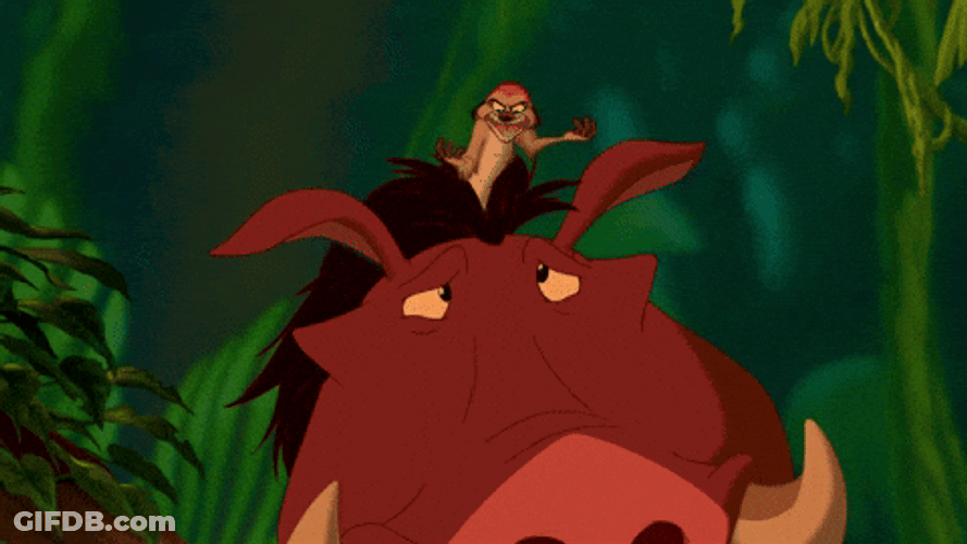 Hakuna Matata Timon Riding Pumbaa GIF