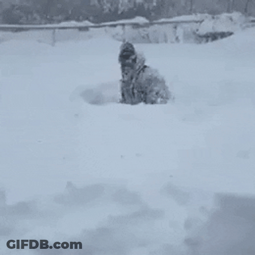 Half Body Buried In Snow Storm GIF