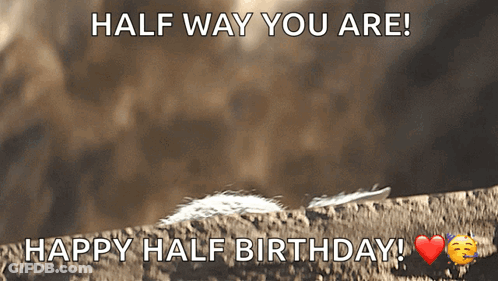 Half Way You Are Happy Half Birthday Greeting GIF