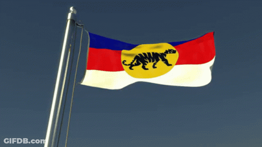 Halfarr Roleplay Flag GIF