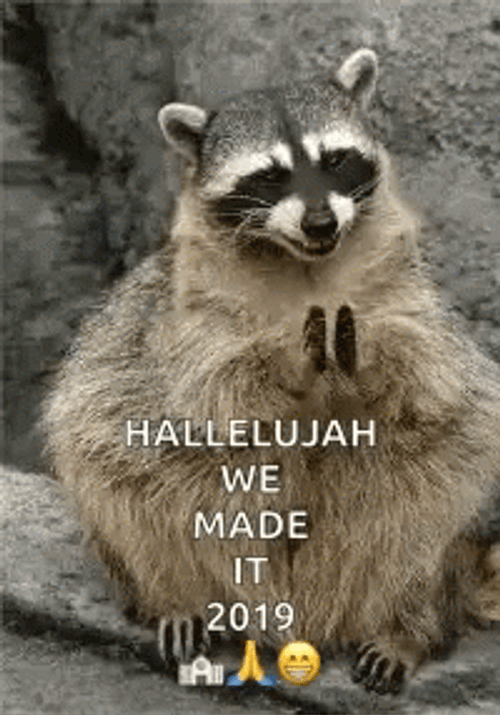 Hallelujah We Made It GIF