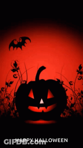 Halloween Background With Pumpkin And Bats Saying Happy Halloween GIF