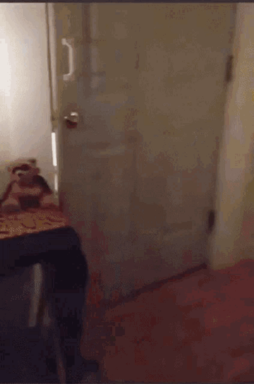 Halloween Dog Costumes GIF