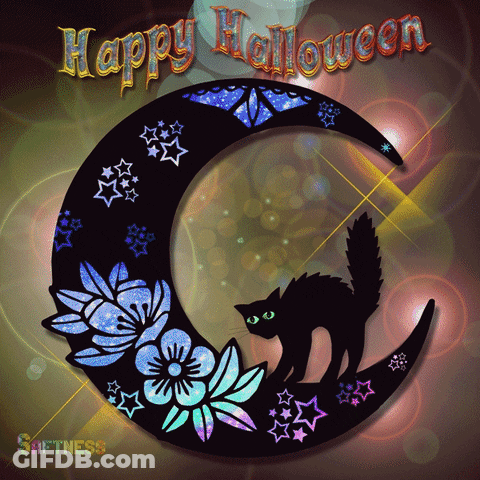 Halloween Greeting Card With Black Cat On Moon GIF