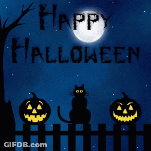 Halloween Greeting Card With Black Cat Pumpkins And Witch GIF