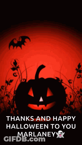 Halloween Greeting Card With Pumpkin And Bats GIF