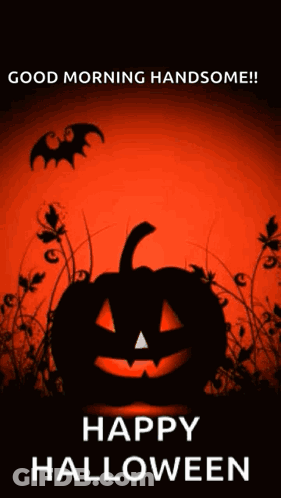 Halloween Greeting Card With Pumpkin And Bats GIF