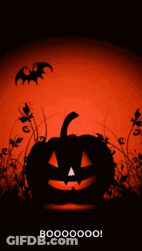 Halloween Greeting Card With Pumpkin And Bats GIF